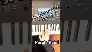 Coversound Purple Rain für den Roland Fantom [upl. by Eineg647]