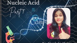 NUCLEIC ACID  DNA  RNA PART 1AkankshaMishrao4z [upl. by Kym825]