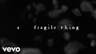 The Cure  A Fragile Thing Official Lyric Video [upl. by Nediarb]