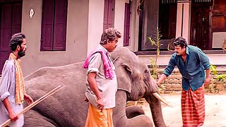 എന്തുചെയ്യ്തിട്ടും അനുസരിക്കുന്നില്ല ഇവൻ ഇതെ കിടപ്പാണ് ഒരു വിധത്തിലാ ഞാൻ ഇവിടെ എത്തിച്ചത്  Sammanam [upl. by Eriuqs]