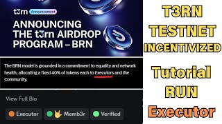 T3RN TESTNET INCENTIVIZED  HOW TO RUN EXECUTOR [upl. by Luther859]