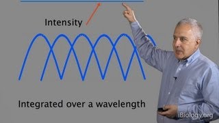 Microscopy Diffraction Jeff Lichtman [upl. by Amle]