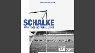 Asoziale Schalker [upl. by Llerrehs]