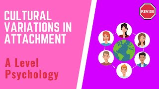 A Level Psychology  Cultural Variations In Attachments [upl. by Portland]