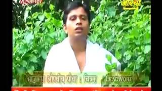 Ayurvedic Medicine Leadwort चित्रक  by Acharaya Balkrish 1 Nov 2012 Part 1 [upl. by Farant]