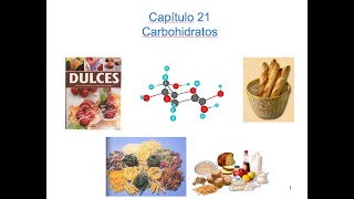 Clase Carbohidratos Parte 1 [upl. by Violette952]