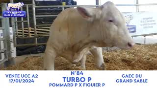 N°84 TURBO P  GAEC DU GRAND SABLE  POMMARD P x FIGUIER P [upl. by Schwartz]