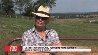 EXTRAIT  Le trotteur français toujours plus rapide  Equidia Live [upl. by Nolaf5]