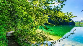 Hier sind die Allgäuer Sehenswürdigkeiten Weißensee in 4K [upl. by Karmen]