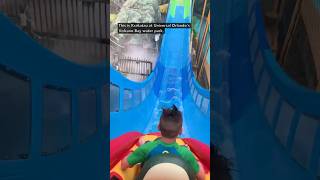 Top 5 rides RANKED at Universal Orlando waterpark 🤯 shorts universalstudios volcanobay [upl. by Egroj]