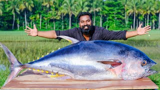 50 Kg  Tuna Fish ThavaFry  ഇത്രക്ക് വലിയ മീനെ പൊരിച്ചുകഴിച്ചാലോ  M4 Tech [upl. by Nue]