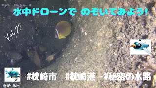 Vが紹介する水中ドローン映像 鹿児島県 枕崎港 海につながる水路の内部 [upl. by Odom]