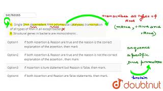 A  SingleDNA depenedent RNA polymerase catalyases transcriptionof all typesof RNA in all except [upl. by Abroms]