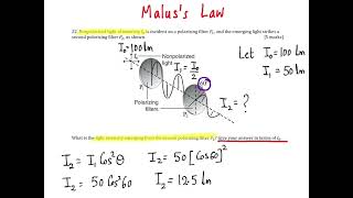 Malus Law [upl. by Utter725]