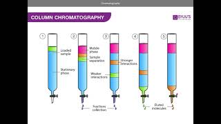 Chromatography AQA A level Chemistry [upl. by Anma364]