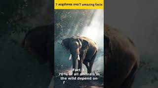 AmazingFacts inhíndi 7 आश्चर्यजनक तथ्य 7 Amazing Facts in Híndi😎 [upl. by Marven600]