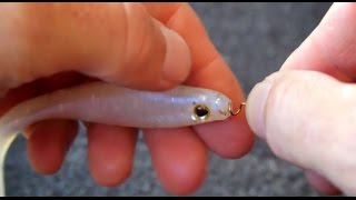 How To Rig A Big Paddle Tail Swimbait [upl. by Alva]