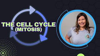 The Cell Cycle  Mitosis Bio Ch 12 [upl. by Dagney671]