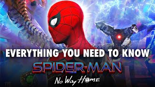 Everything You NEED to Know Before Watching SpiderMan No Way Home [upl. by Ojeillib]