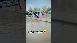 I love Narwana bus stand ❤️🙏🙏  funny video [upl. by Clarkin]