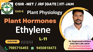 Ethylene  Biosynthesis amp Signaling  Plant Hormones  Plant Physiologygenesisinstitute [upl. by Eessej962]