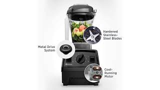 Vitamix E310 Blender Review Is It Worth the Hype [upl. by Cara]