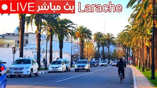 العرائش قلب المدينة مازالت موجة البرد غدا فاتح مارس Larache [upl. by Einnad994]