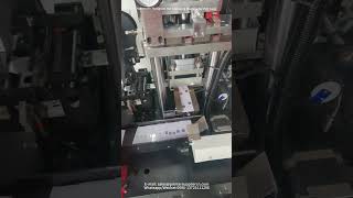 Automatic Hologram Hot Stamping Machine for PVC Card Auto Holographic Roll Sticker Printer Machine [upl. by Chud]