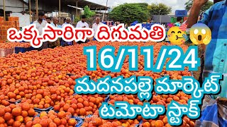 161124 Madanapalle Tomato Market price Today  Today Tomato Market Rate in Madanapalle today [upl. by An]