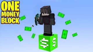 Minecraft But Theres Money BlockftNotKine69 [upl. by Ratcliff906]