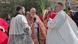 24 marzo 2024  Domenica delle Palme a Sassari benedizione e processione [upl. by Aicelav353]