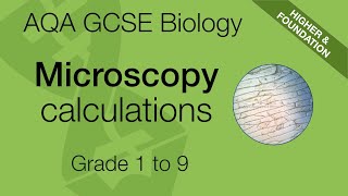 Microscopy Calculations For AQA 91 GCSE Biology and Trilogy Combined Science [upl. by Sapphira938]