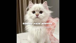 Bondhu amar roshiya seedup song speedupsong [upl. by Doner798]