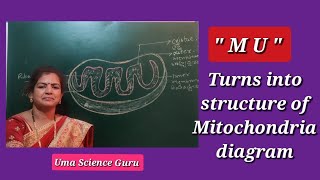 Easy drawing of Mitochondria with alphabets quot M amp U quot 10th Biologymitochondria [upl. by Laird70]