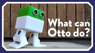 What can Otto DIY robot do [upl. by Aneej408]