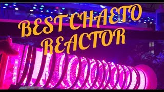 CHAETO REACTOR EASY DIY ALGAE EQUIPMENT FOR AQUARIUM  MARINE DEPOT MONSTER REACTOR ACCEL MEDIA [upl. by Tobiah]