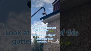 Look at the size of this gutter snake 🐍 Have you seen bigger guttercleaning [upl. by Patrica]