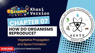 Science  07 Chapter  Vegetative Propagation and Spore Formation  NCERT Syllabus  Khasi Version [upl. by Cheadle104]