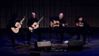 Introducing the EUROPEAN GUITAR QUARTET DukicSteidlFellowReentko [upl. by Atiuqrahs533]