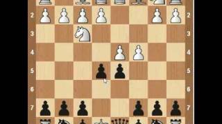 Chess Openings Albin Counter Gambit [upl. by Rebekah]