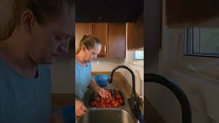 When you dont have the time for your tomatoes just freeze them in a ziploc bag [upl. by Esther]