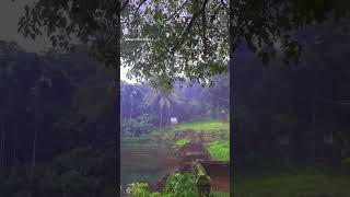 Temples of kerala  Malamalkavu Palakkad [upl. by Sinegra83]