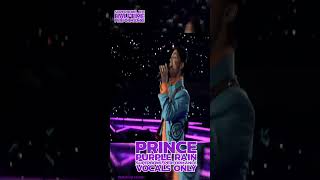 Prince  Purple Rain Super Bowl XLI halftime performance VOCALS ONLY [upl. by Ciel]