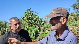 Quelques variétés de vignes cultivées localement selon la mémoire du paysan [upl. by Elleynad]