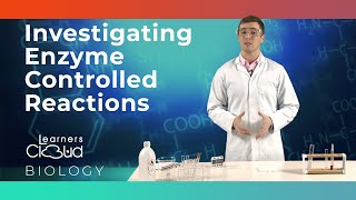 Investigating enzyme controlled reactions [upl. by Homans25]