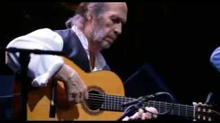 Paco De Lucia  Entre dos aguas [upl. by Aiveneg]