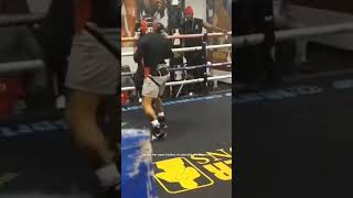 Casimero vs Tank Davis Sparring [upl. by Leihcim]