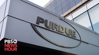 Supreme Court blocks Purdue Pharma bankruptcy plan shielding owners from lawsuits [upl. by Rechaba597]