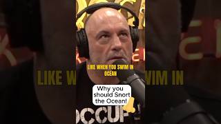 Snort For Your Health jre joerogan davidchoe ocean [upl. by Maude]