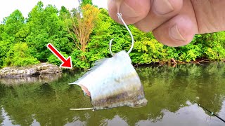 If You Like To Eat Catfish  Easy Way To Catch Loads [upl. by Yardna]